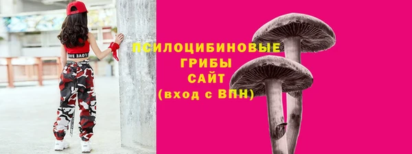 дживик Арсеньев