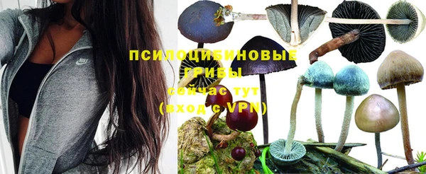 дживик Арсеньев