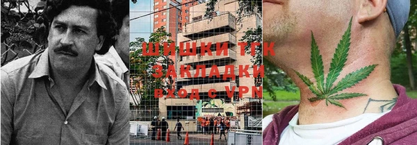дживик Арсеньев