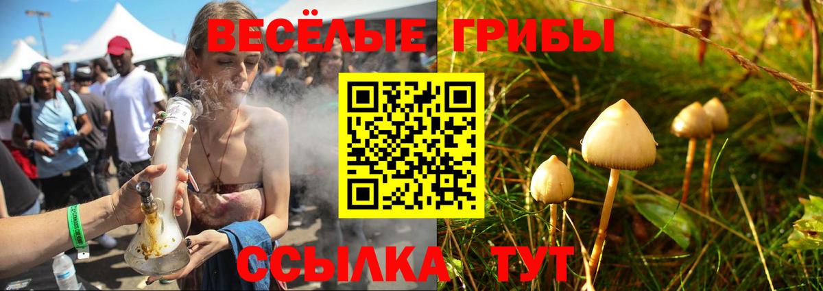 Псилоцибиновые грибы MAGIC MUSHROOMS Лобня