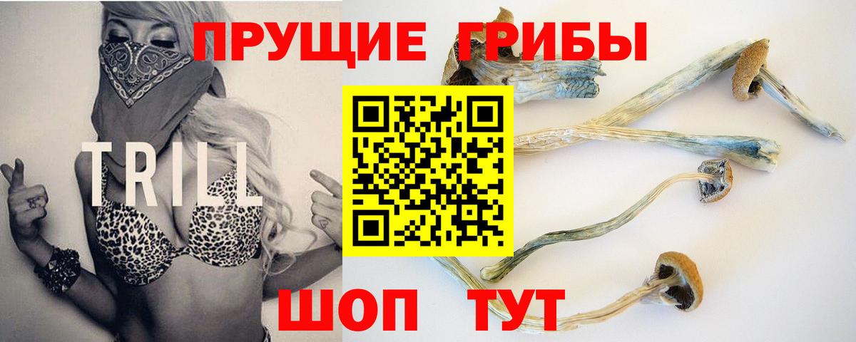 Галлюциногенные грибы Psilocybe  Вход с VPN  Лобня 